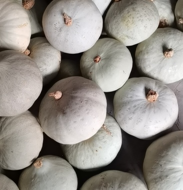 银粟南瓜香甜软糯,合适多种烹饪方式