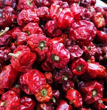 干辣椒 灯笼椒 干红圆椒