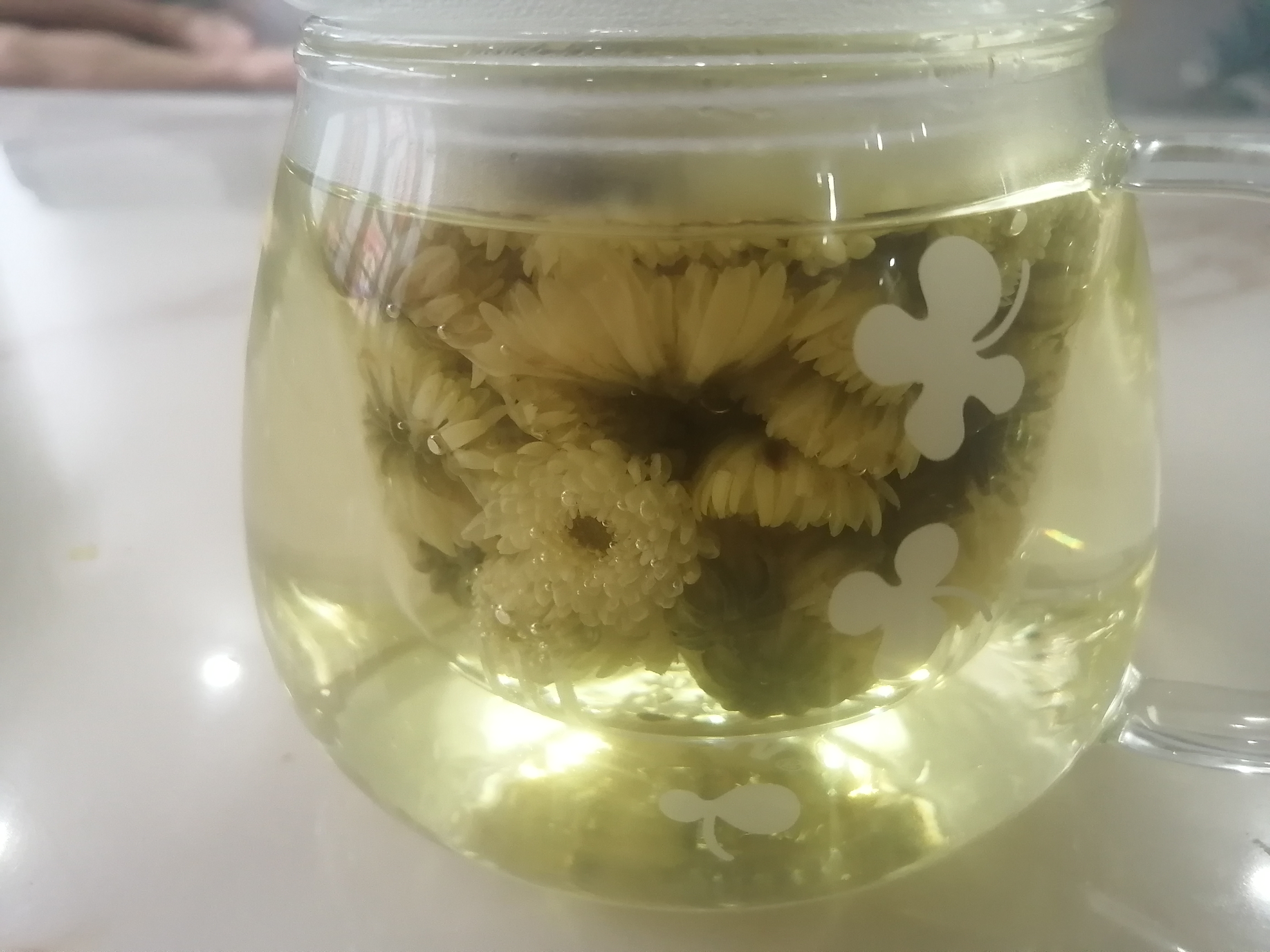 胎菊红枣冲泡步骤图