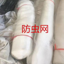 防虫网