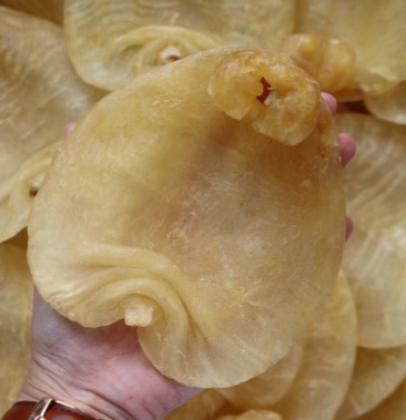 4头白目鱼赤嘴鱼胶花胶批发足干干净没有油