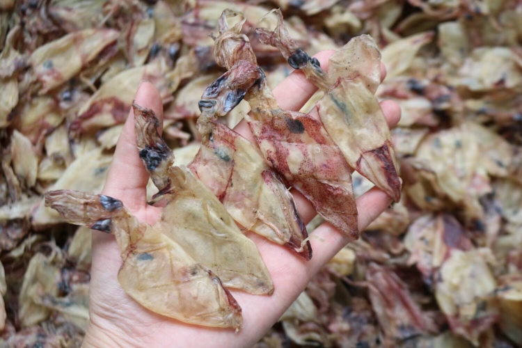 鲜冻小管鱿特写：青灰色半透明筒身，表面覆薄层银膜，触手微凉有弹性，置于竹筐中衬白布背景
