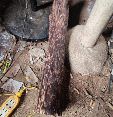 海南尖峰岭花梨公,神奇香药材