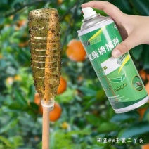 果蝇诱粘剂诱捕器瓜果实蝇针蜂引诱剂杀果蝇药果园果树物理诱