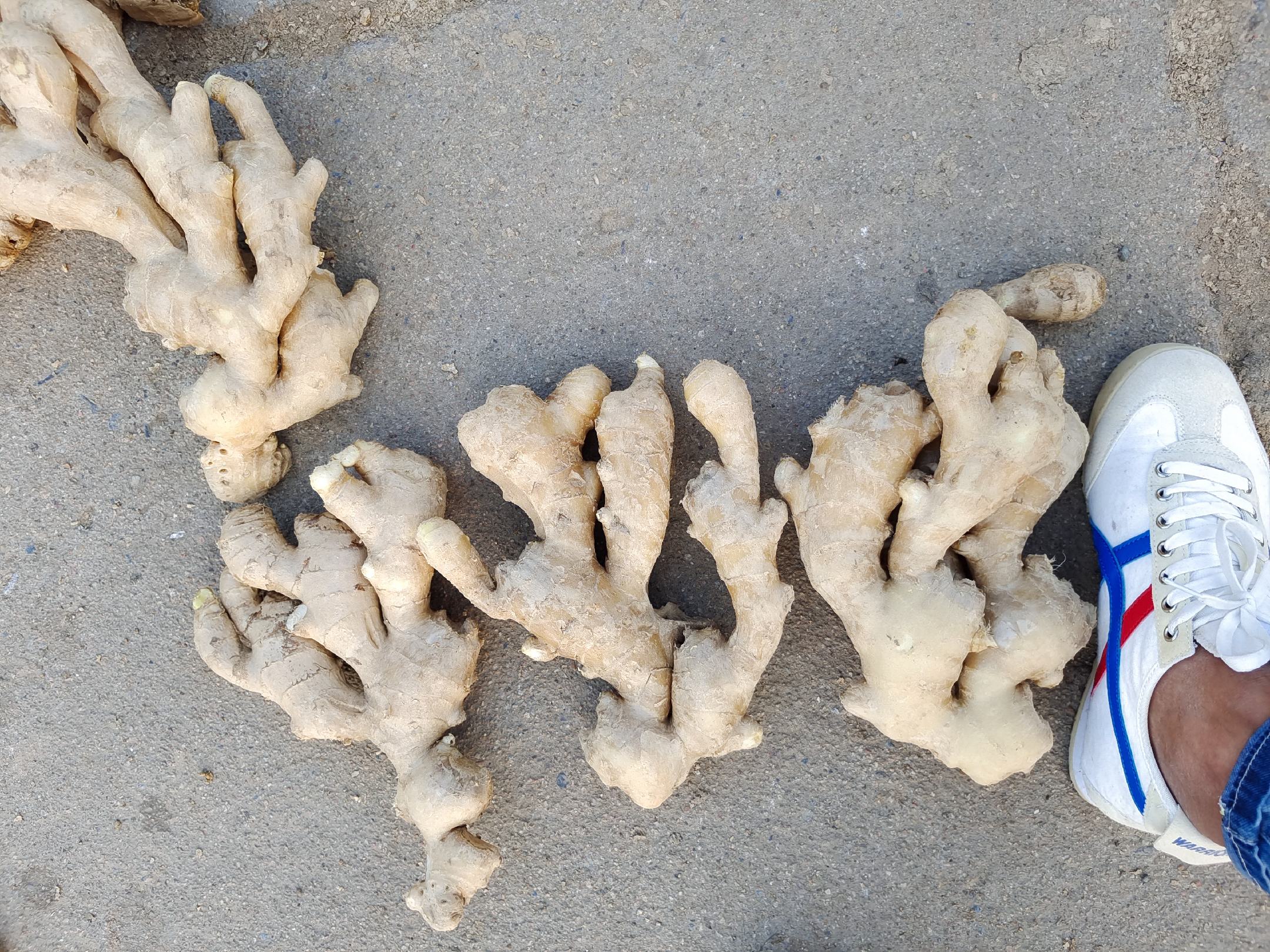 老姜和花椒泡脚的材料展示