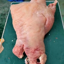 全熟牛头肉人工水褪全熟牛头肉常年供应