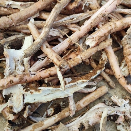 牡丹皮价格行情