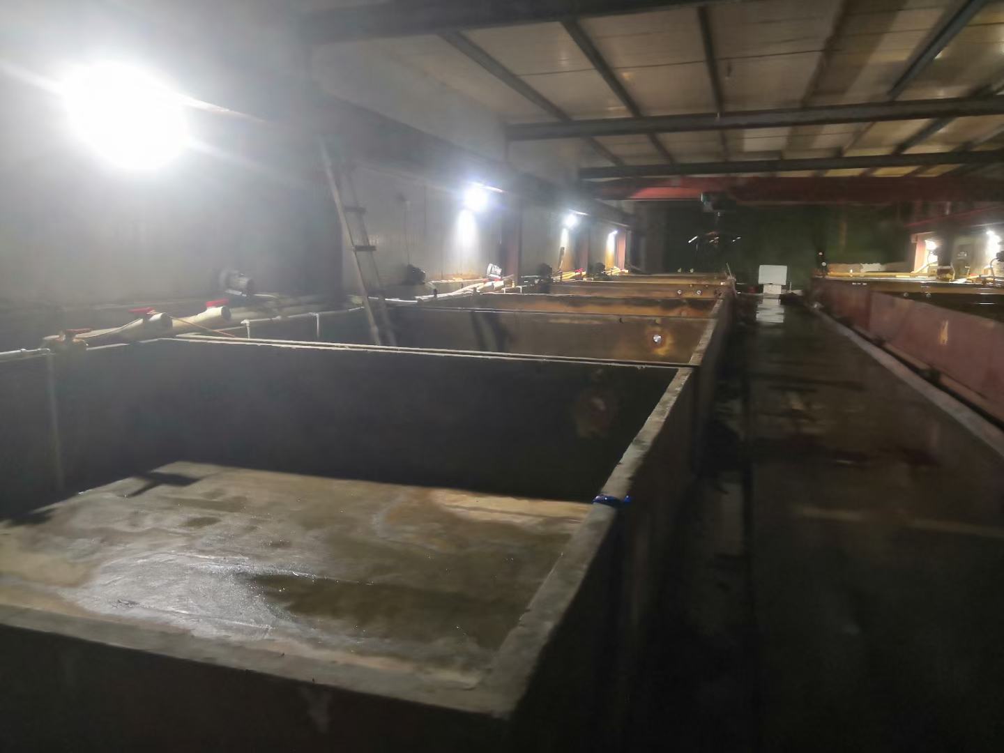 无人机航拍视角:福建莆田南日岛国家级花蛤良种场滩涂,呈现规整的潮沟网格系统,水体呈黄褐色(富含硅藻),滩面密集分布直径2–4 cm的菲律宾蛤仔养殖区,远处可见标准化育苗车间与水质监测浮标 福建莆田南日岛花蛤养殖滩涂航拍