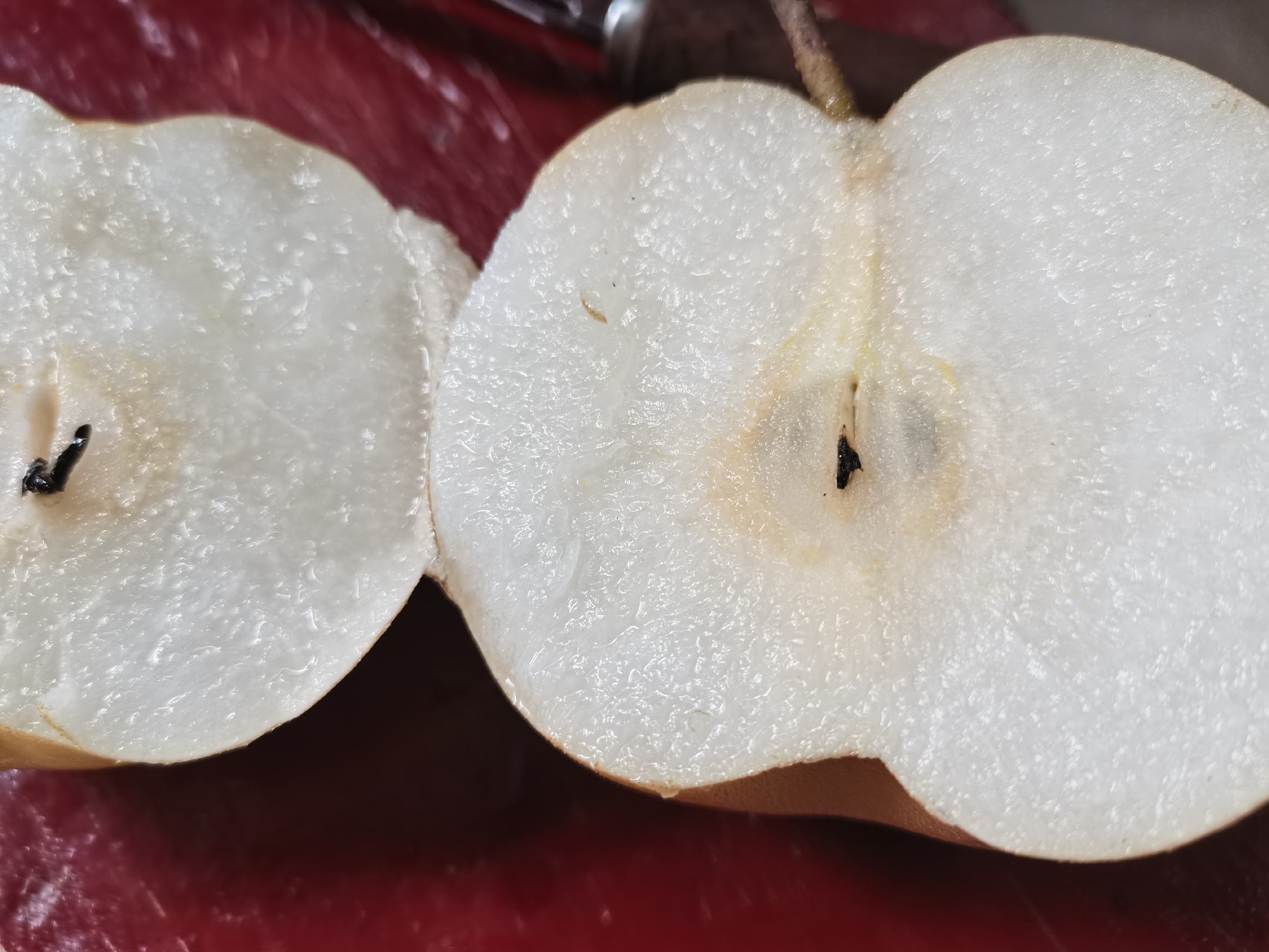 不同种类梨的横向切片对比图