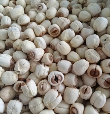 [莲子批发]莲子价格23.00元/斤 - 一亩田