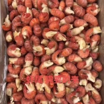 质量嘎好的龙虾尾