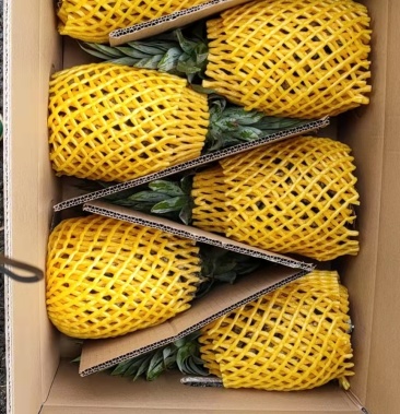 [菠萝批发]台农16号甜蜜蜜凤梨价格5.00元/斤 - 一亩田