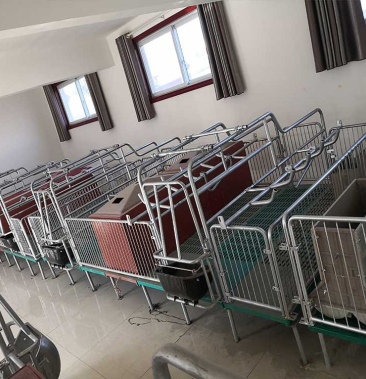 落地式母猪产床厂家单体母猪产床分娩床猪场定位栏限位栏