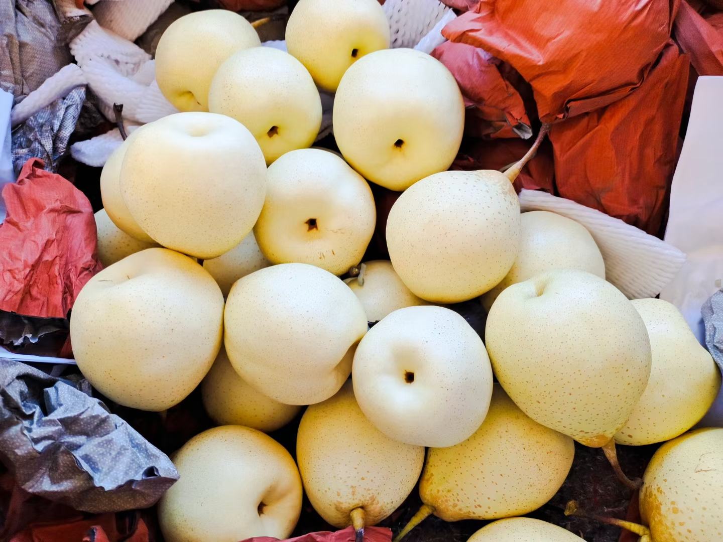 一堆新鲜采摘的鸭梨堆叠在木质果筐中，梨体饱满匀称，表皮呈淡黄绿色带浅褐色斑点，部分果面覆有天然蜡质光泽；背景为柔和虚化的梨园枝叶，光线温暖通透，展现丰收季的丰盛感