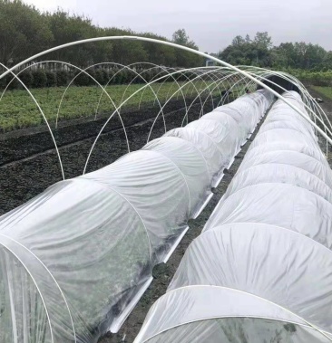 菜棚保温棚花棚拱玻纤杆农用小大拱棚支架玻璃纤维杆棒