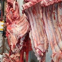 活驴现宰！肉质新鲜！