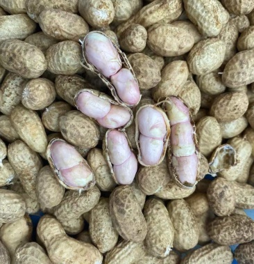 [罗汉果花生批发]小鲜果价格2.00元/斤 - 一亩田