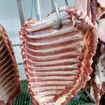 鲜驴肉鲜马肉自贡自养可实地参观选购