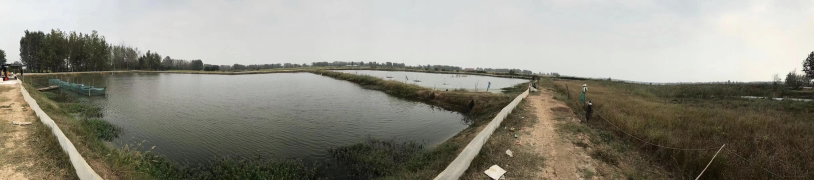 花蛤养殖场水质监测与饲料投喂