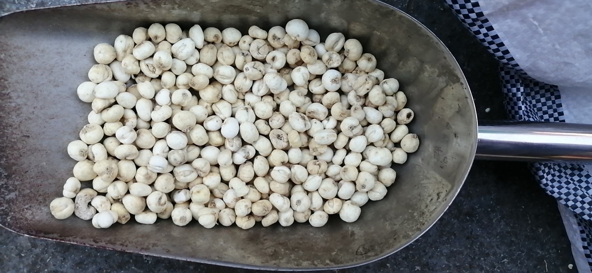 川贝母入药使用场景