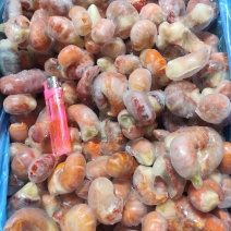 龙虾尾