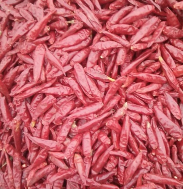 三鹰八号干辣椒精品九成干以上货干净品质保证产区直供