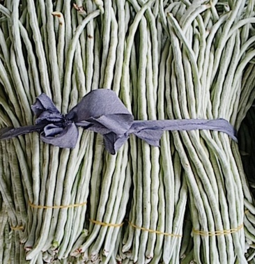 广西南宁市横县精品白豆角青豆角一手货源产地直销