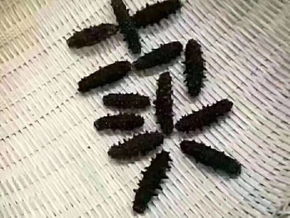 中老年营养干预试验结果对比柱状图