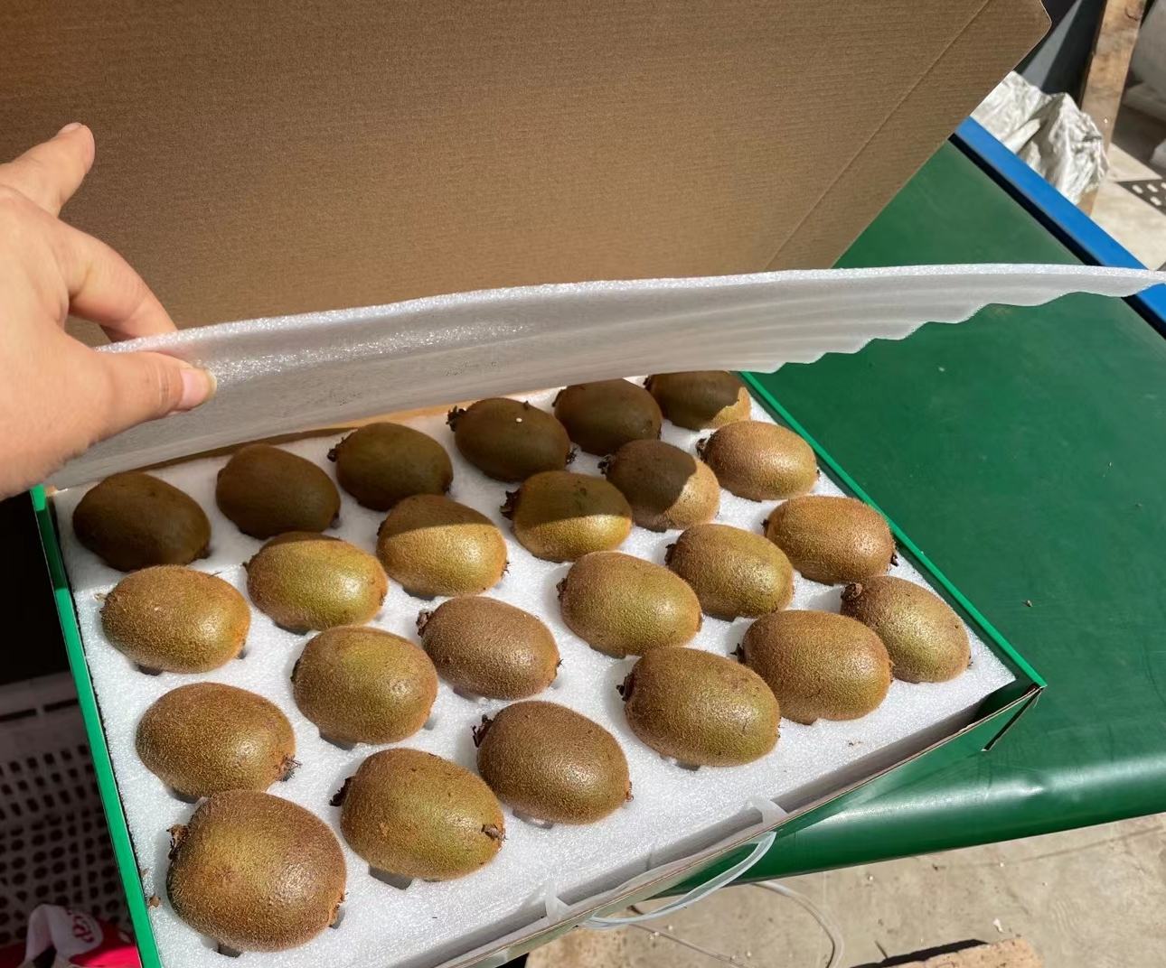 木质托盘上摆放两盒印有‘衢州徐香猕猴桃’地理标志的精品礼盒,右侧打开显示内部海绵固定的新鲜果实;旁边切开一颗猕猴桃,露出翠绿色果肉与放射状黑色种子,背景虚化处有二维码标签与检测报告复印件,展示产品品质与可追溯体系 衢州徐香猕猴桃礼盒与切开展示图