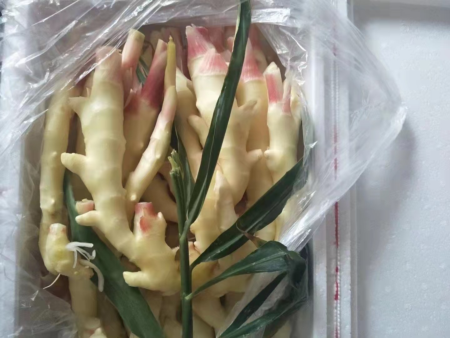 家庭厨房中三种姜母制品并置：左侧玻璃罐装深褐色姜母蜜膏，中间瓷碗盛放琥珀色姜母红糖茶，右侧小碟摆放卤制后的姜母鸭腿与卤汁，整体色调温暖质朴