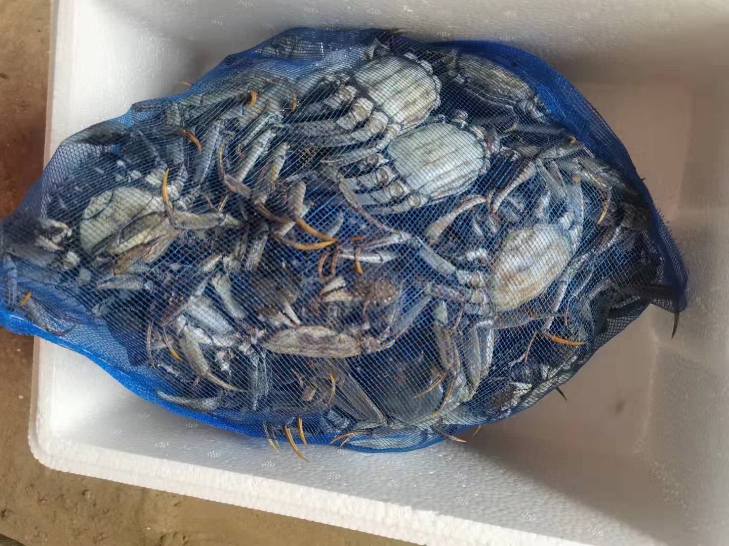 大闸蟹运输包装示意图