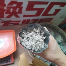 拿样专款～50克样品张家界莓茶特级芽尖