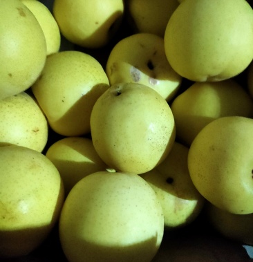 [梨批发]面梨价格1.30元/斤 - 一亩田