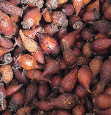 广西省来宾市金秀县大瑶山野生金樱子