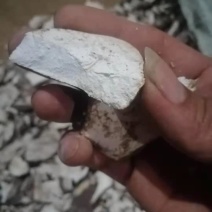 进口木薯干片