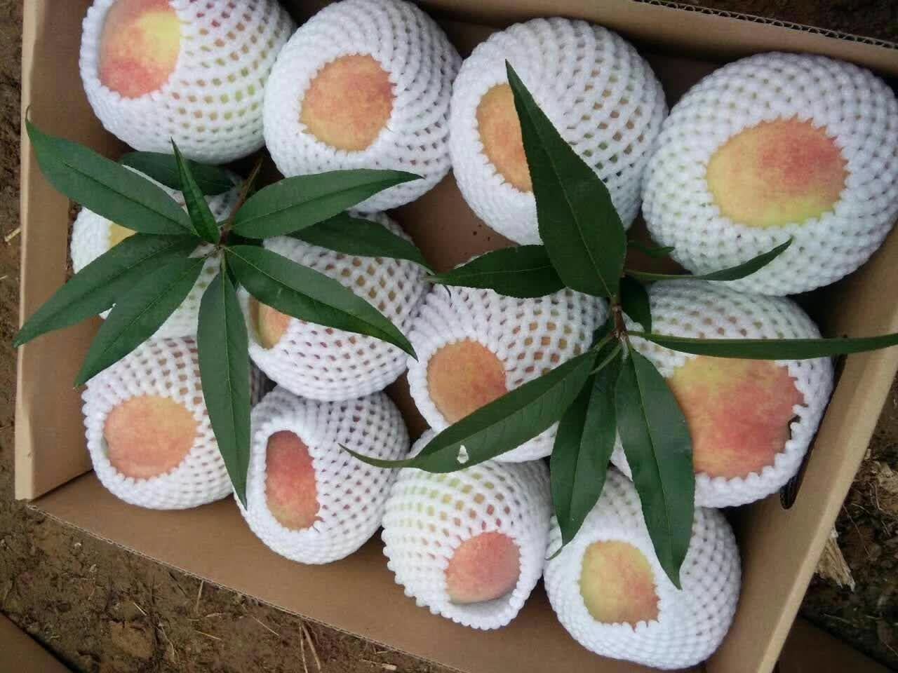 中华寿桃用于节日礼品的场景展示