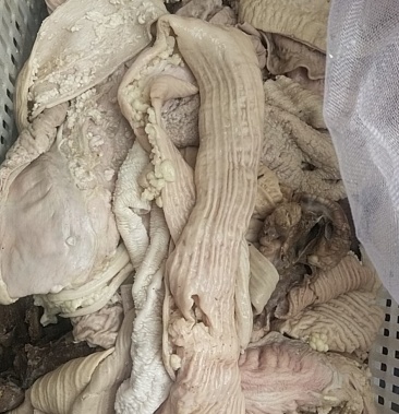 [牛大肠批发]开边牛大肠散带肠头价格18.50元/斤 - 一亩田