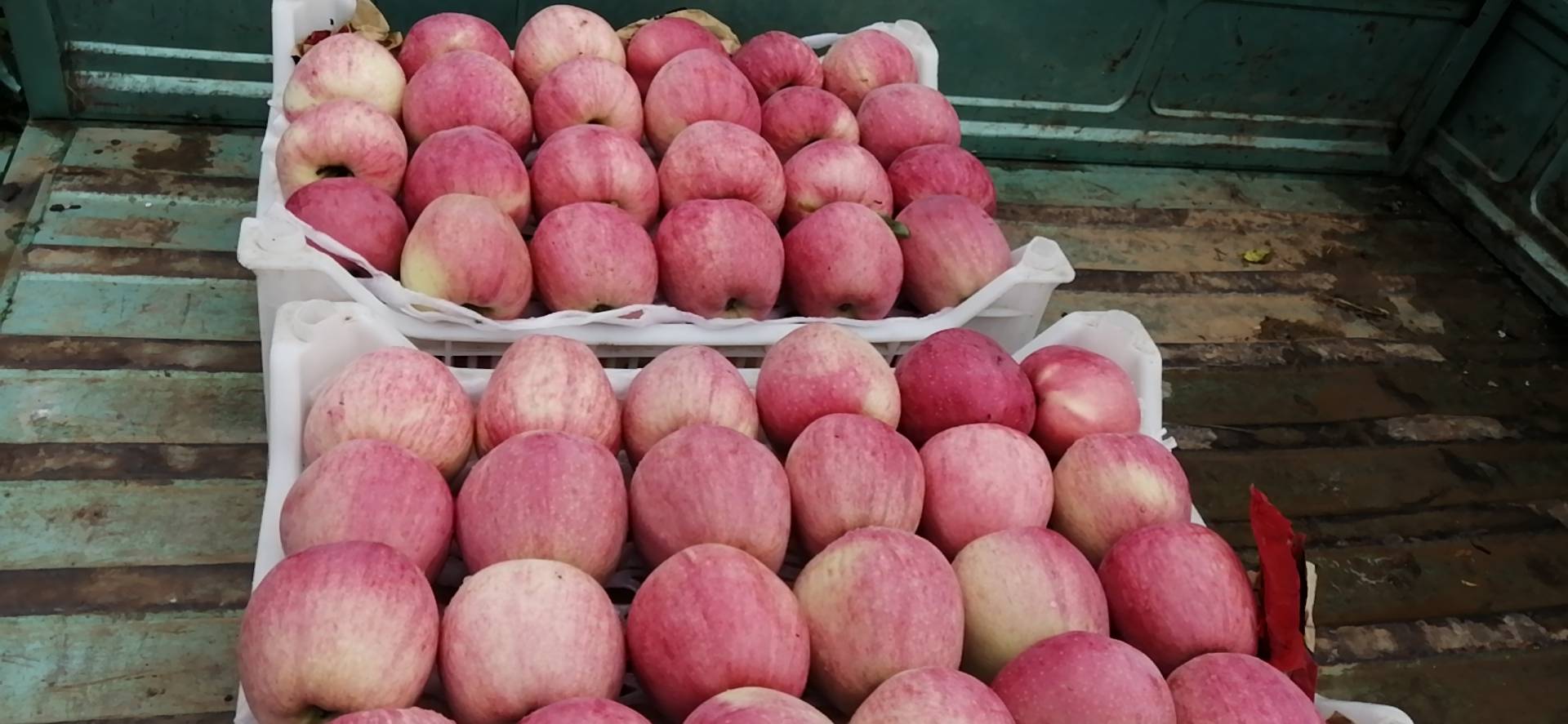 红星苹果在果篮中整齐摆放,展现其红色外观和自然光泽 红星苹果在果篮中的陈列