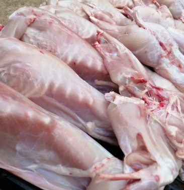 [肉兔批发]白条兔价格17.00元/斤 - 一亩田