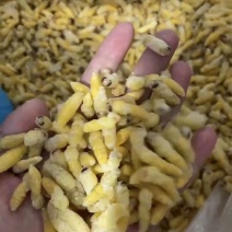 熟冻树蜂干水无杂质二级蛹大量批发品质如图