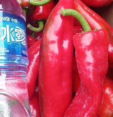 [牛角椒批发]全红精品牛角椒价格1.20元/斤 - 一亩田