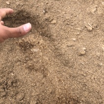 稻壳