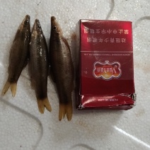 溪水鱼，肉质细腻，价格以咨询为准捡便宜的请绕行