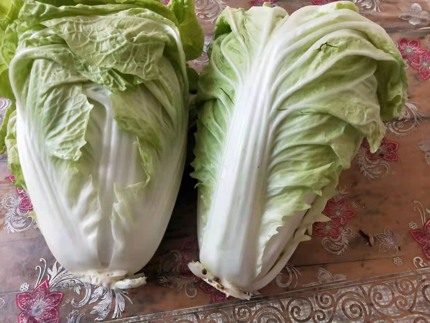中甘甘蓝生食与快炒两种推荐食用方式对比,突出紫红色泽保持完好,无褐变或褪色,佐料搭配体现营养协同设计 中甘甘蓝烹饪对比图:左侧为生食紫甘蓝丝配柠檬汁与橄榄油,右侧为急火快炒中甘甘蓝片配红椒与核桃碎,两盘食材色泽均保持鲜明紫红色