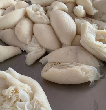 [批发]水发白肚价格29.00元/斤 - 一亩田