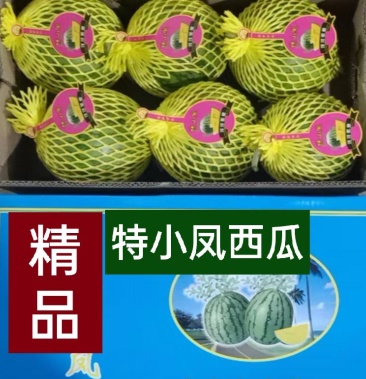 山东特小凤西瓜黄瓤西瓜大量现货产地直发价格便宜