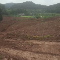 仁寿县土地流转，水电路方便，可根据需要整改