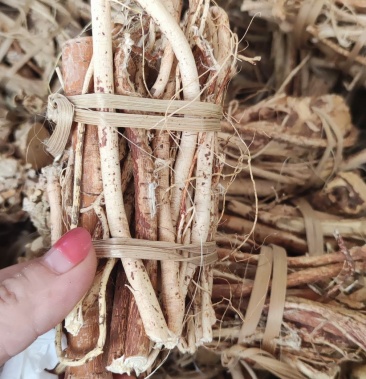 五指毛桃新货野生五指毛桃1公斤起售