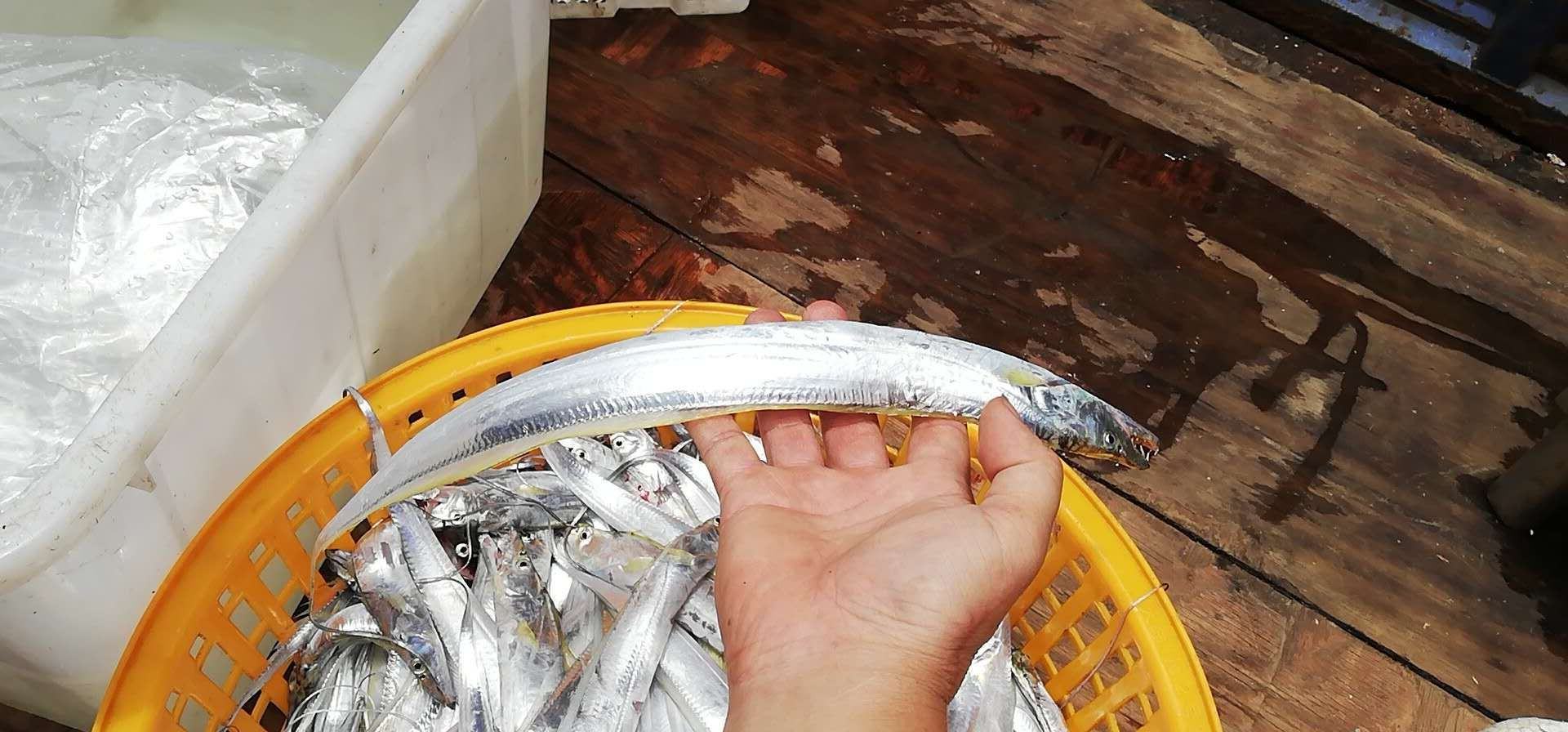 东海梭子蟹捕捞场景