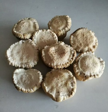 梅花鹿角帽,原产地发货质量好价格低,全国发货